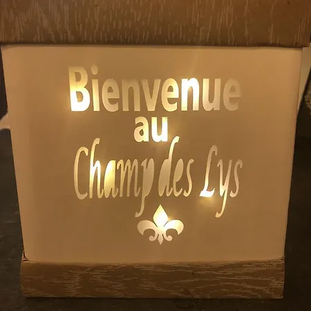 Le Champ Des Lys 3* Amancey